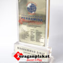 PLAKAT FIBER R38